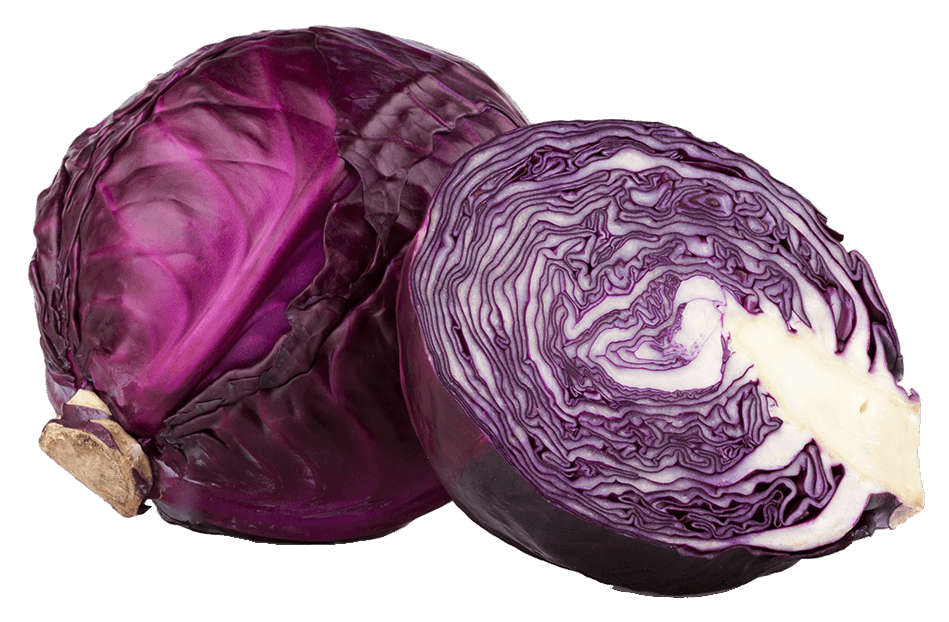 Red Cabbage