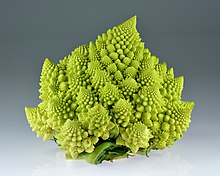 Romanesco Romanesco